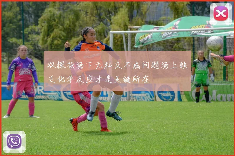 双探花场下无私交不成问题场上缺乏化学反应才是关键所在